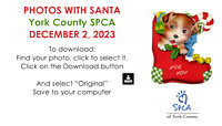 Santa Paws 2023 - York County SPCA