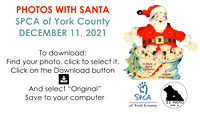 Santa Paws 2021 - York County SPCA